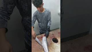 How to Fillet a Trout at Home  Easy amp Fast [upl. by Vikki693]