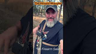 varmint wrangler holster [upl. by Airtemed689]