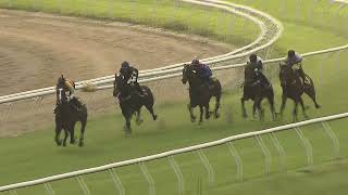 Heat 1 Doomben Jumpouts 1009 [upl. by Randie216]