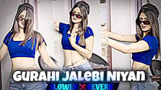 Gurhi jalebi niyan ras tapke slowed and reverb  slowed and reverb bhojpuri song  happymusicl2i [upl. by Marji]