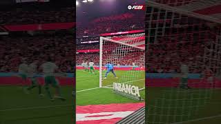 ⚽ Schjelderup 40 • slbrafc ligaportugalbetclic golo goal benfica slbenfica [upl. by Blondelle]