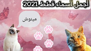 أسماء جميلة للقطط 2021 des belles noms pour chats 2021 🐾 [upl. by Artkele535]