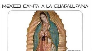 Cantos a la Virgen de Guadalupe  Disco completo las mejores alabanzas [upl. by Enelloc71]