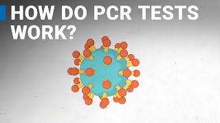 How do COVID19 tests work RTPCR explained [upl. by Wonacott409]