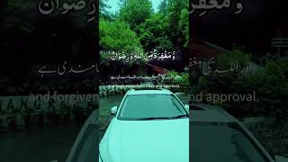 AlQuran Recitation shrots shorts youtubeshorts quran [upl. by Elbertina]