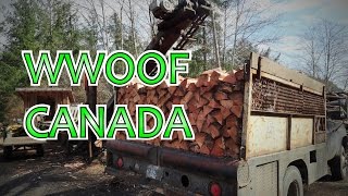 WWOOFING in Canada  WWOOF on Quadra island [upl. by Mohorva]