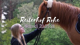 Reiterhof Rohe  Stundenreiter 23052021 ♥️ [upl. by Kauffmann]