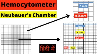 Hemocytometer  Neubauer chamber  RBC count  WBC count  Cell Count  Calculation  Hindi mlt [upl. by Luehrmann]