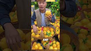 yellow peaches are unsalable shorts viralvideo youtubeshorts suscribete [upl. by Medrek931]