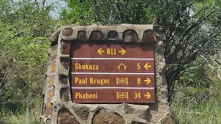 Skukuza Rest Camp general area restaurants and river view 🌟 krugernationalpark southafrica [upl. by Einallem792]