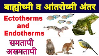 बाह्योष्मी और आंतरोष्मी में अंतर हिंदी में  ectotherms and endotherms in hindi  biology ScienceSK [upl. by Eirrab43]