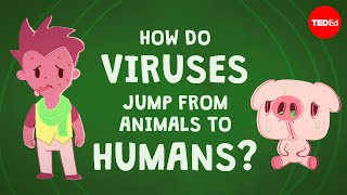 How do viruses jump from animals to humans  Ben Longdon [upl. by Lundin]