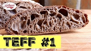 Sourdough Teff Loaf Series  Working with Teff flour Video 1 [upl. by Edmond]