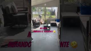 Gato curioso gato shortvideo shortsfeed [upl. by Lorine363]