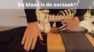 Snel lage rugpijn verhelpen Hoe lost een osteopaat dit op en wat heeft je blaas hiermee te maken [upl. by Paola886]