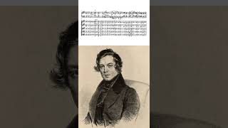 Schumann Piano Concerto in A Minor mov3 [upl. by Nonnah]