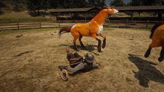 RDR 2  BEST HORSE TAMER  JOHN MARSTON  CUSTOM HORSE [upl. by Cahan]