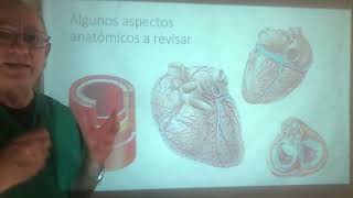 Infarto Agudo del MiocardioIMA Anatomia y Fisiopatologia Muerte sÃºbita Enzimas cardiacas [upl. by Yerag]