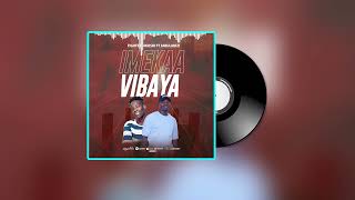 Fighter Mkushi Ft Jabulanizi  Imekaa Vibaya Music Audio [upl. by Nika567]