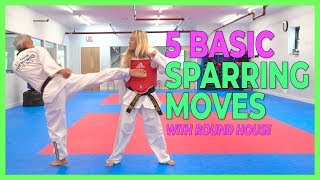 5 Basic Sparring Moves with Round House 4K [upl. by Namien274]