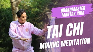 The Inner Alchemy of Tai Chi Qigong with Tao Grandmaster Mantak Chia Energy cultivation practice [upl. by Davy]