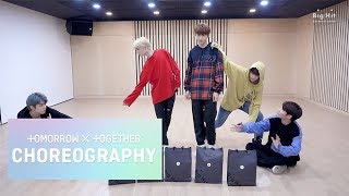 TXT 투모로우바이투게더 ‘Cat amp Dog’ Dance Practice Animal ver [upl. by Ettelimay]