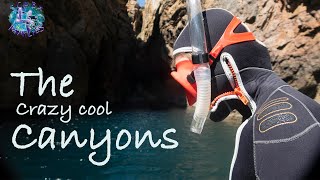 DIVING  Crazy Cool Canyons in Sagres  Portugal [upl. by Gio930]