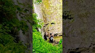 Manoa Falls shortvideo hawaiianisland [upl. by Curr]