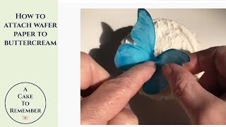 How to attach wafer paper butterflies to buttercream Tips for edible butterfly cake decorations [upl. by Lannie]