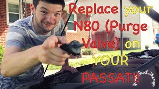 Replacing the N80 Purge Valve on a 2012 Passat [upl. by Rizas]