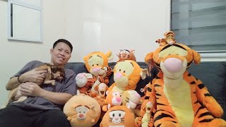 TIGER COLLECTION THANK YOU MAM YANG BANG favorite tiger [upl. by Esidnak]