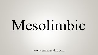 How To Say Mesolimbic [upl. by Selhorst]