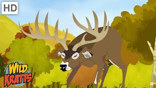 A Deer Sparring Match  Wild Kratts [upl. by Maisey]