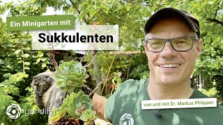 Sukkulenten pflanzen teilen vermehren Minibeet als Tischdeko  gardify Tipps [upl. by Suitangi]