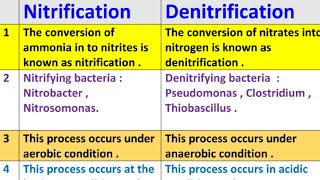 difference bwteen nitrification and denitrification  nitrification vs denitrification [upl. by Ramej]