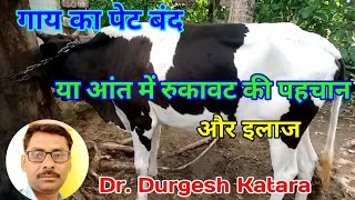 🌹🐂🌹Rumen of Impaction in cow treatment🌹🐂🌹Grow Vet Man by Dr Durgesh Katara [upl. by Dempster]