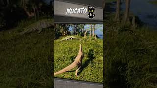 Deino vs 2 Carnos  The Isle nucatro dinossauro gameplay [upl. by Brodsky]