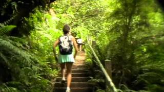 Kokoda Trail Memorial 1000 Steps Dandenong Ranges Melbourne Australia [upl. by Durr]