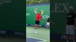 Dimitrov hitting few forehand and backhand shots [upl. by Naihs]