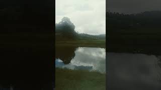 Sakleshpur nature view [upl. by Siva]