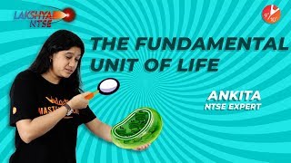 NTSE Exam 2019  The Fundamental Unit of Life  L2  Biology Scholarship 2019  Vedantu 9 and 10 [upl. by Ilat]