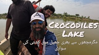 Adventurous Boat Ride In Haleji Lake  Crocodiles Lake Of Sindh [upl. by Arod524]