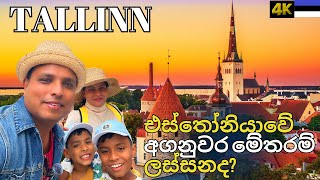 එස්තෝනියාවේ අගනුවර Tallinn  නගරයේ සුන්දර ස්ථාන  Baltic Tour Vlog [upl. by Delwin889]