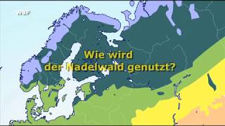 WBF  In der Vegetationszone Nordeuropas  Wie wird der Nadelwald genutzt Trailer [upl. by Yelahc316]