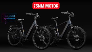 Trek District 4 2023 eBike Review  De Ultieme Elektrische Fiets voor Woonwerkverkeer [upl. by Ruggiero]