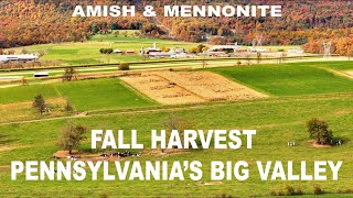 AMISHMENNONITE Fall Harvest in Pennsylvanias BIG VALLEY With Gorgeous Autumn Forest Backdrop [upl. by Hareehat928]