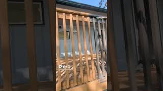 Spraying deck stain on a MASSIVE long deck contractor diy paint transformation [upl. by Aldus]