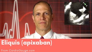 Eliquis apixaban Basics about this medicine its use effectiveness and side effects [upl. by Hereld478]