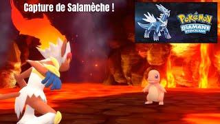 Pokémon Diamant Etincelant  On capture 🔥 Salamèche 🔥  Nintendo Switch [upl. by Elnar]