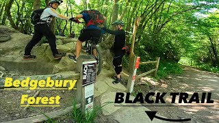 Bedgebury black trail vs Beginner rider [upl. by Nylimaj]